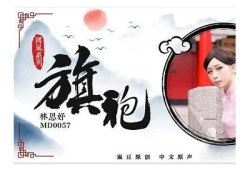 麻豆传媒管家女主角名字揭秘，背后的故事你知道吗？