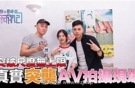 探索麻豆传媒：你知道这个新兴成人娱乐平台吗？