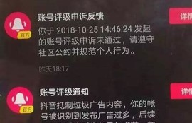 抖音优化版抖币全解：提升收益的必备技巧与策略