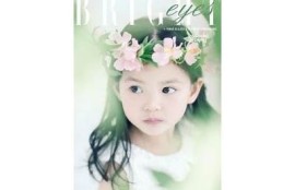 麻豆传媒拍摄了多少部作品？揭开其背后的秘密与数字！