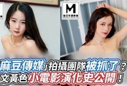 国产麻豆传媒影视：探索中国影视的新锐力量与创新之路