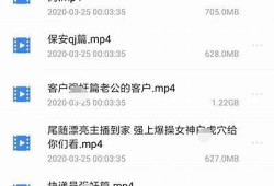 优质保洁服务，麻豆保洁传媒在线为您提供完整清洁对策