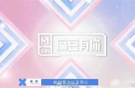 麻豆传媒是否真正运营？揭开背后的真实面纱