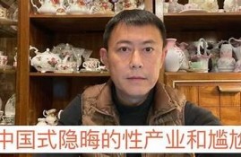 麻豆传媒小樵：揭秘潮流中最受欢迎的影视作品与创作团队