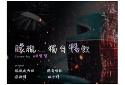 夜雨聆风抖阴解密：独家剖析与实用技巧分享