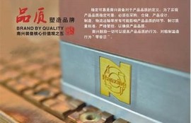 最新抖音ios破解版二维码获取方法分享，轻松下载体验