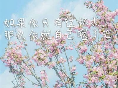 抖阴灿烂阳光：探索阳光下的生活与心情故事