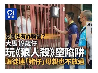 麻豆传媒狼人杀：揭秘玩法与策略，提升游戏胜率指南