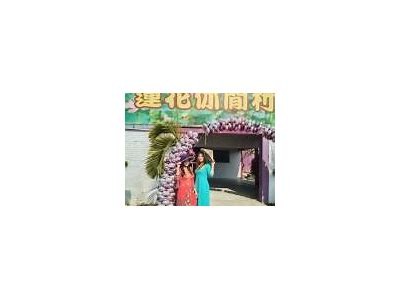 麻豆果冻乌鸦传媒：创新文化传播与娱乐内容平台