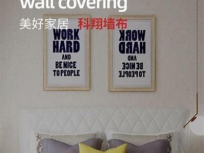 如何免费下载麻豆传媒视频，获取高质量mp4格式教程