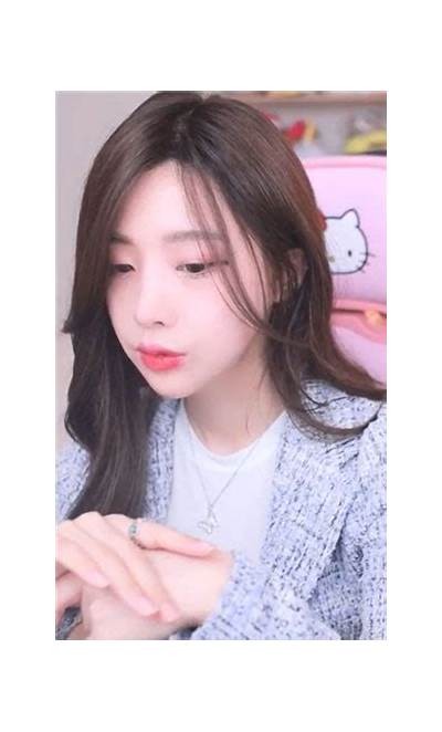 麻豆传媒含羞草预告：全新剧情大揭秘，精彩来袭！