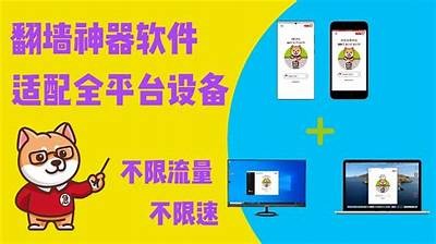 高效抖阴翻墙器工具推荐，轻松突破网络限制