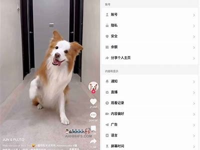 抖阴破解版2023：无限抖币iOS版免费下载与使用指南