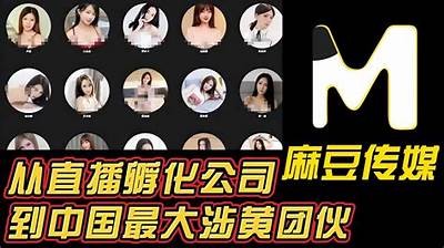 麻豆传媒MD全集破解版下载，畅享优质高清视频资源