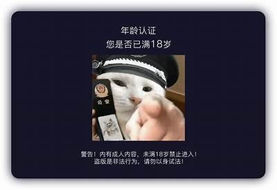 探寻抖阴符号背后的含义与使用技巧，提升你的社交魅力