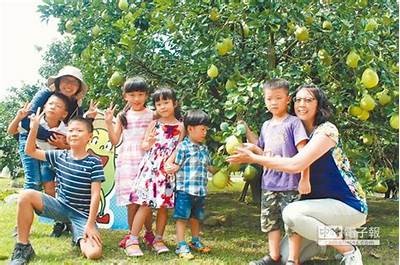 台湾麻豆文化传媒：精彩内容尽在你的指尖，快来探索！