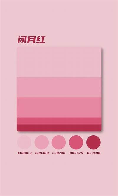 抖音热门分享：色彩搭配技巧与创意灵感大全