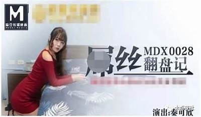 传媒麻豆女：揭示幕后辛酸与璀璨人生的真实故事
