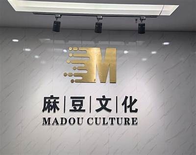 麻豆文化传媒夏滢最新作品解析：深度解读其艺术魅力与影响力
