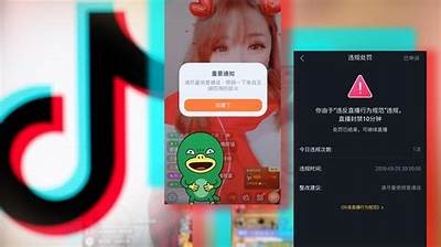 抖阴非彼抖音y56：揭示短视频新动向与玩法