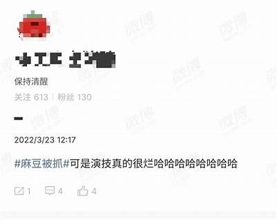 麻豆传媒34部精彩内容曝光，带你畅游独有视听盛宴！