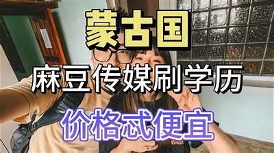 麻豆印象传媒工作证：制作与申请全攻略解析