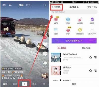 抖音直播iOS版使用指南：轻松开启你的直播之旅！