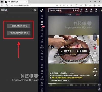 抖音破解下载指南：轻松获取更多精彩内容
