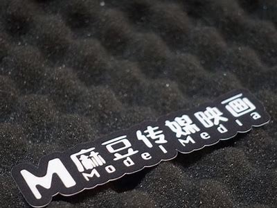 麻豆传媒花絮揭秘：幕后趣闻与精彩瞬间全解析