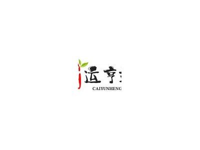 探索抖阴黄软件的背后：功能、使用体验与风险研究