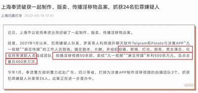 深入探讨麻豆文化传媒的十三女郎：背后的故事与魅力