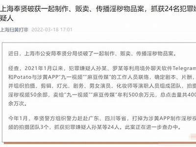 台湾麻豆传媒官网警察相关新闻：深入探讨媒体与执法关系