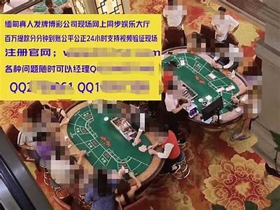 探索月亮之美：高清在线观看与精彩内容分享 | 麻豆传媒独家视频完整版