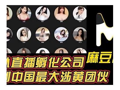 麻豆传媒超清在线：畅享高清影视，探索精彩内容